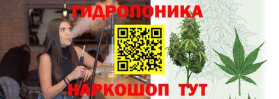 сатива Балаково