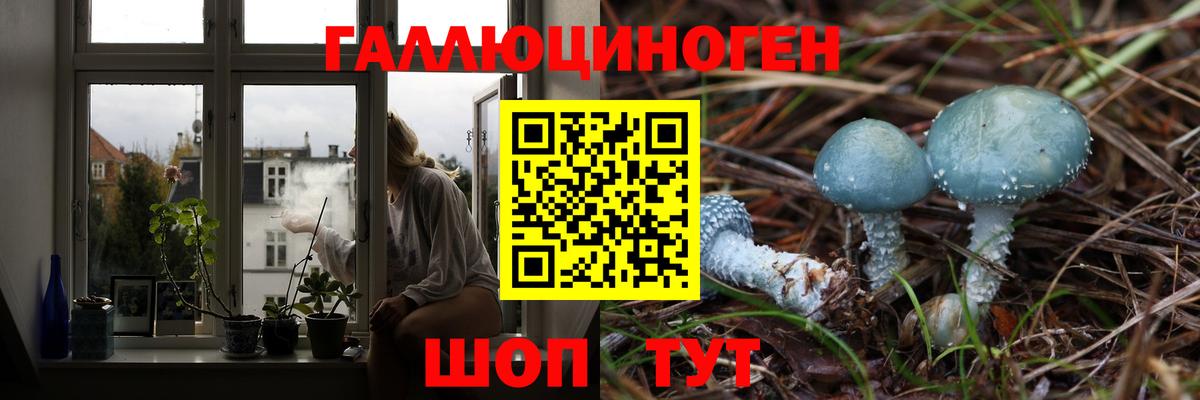 Галлюциногенные грибы мухоморы Бугуруслан
